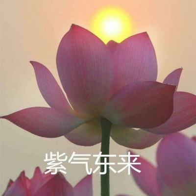 地城制作者内购破解版下载
